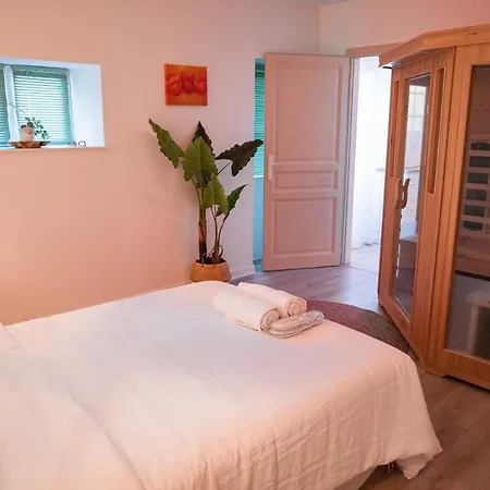 Apartman Nancy-Place Hugo *